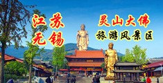 日麻皮黄色一级片江苏无锡灵山大佛旅游风景区