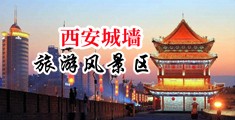 www.猛插中国陕西-西安城墙旅游风景区